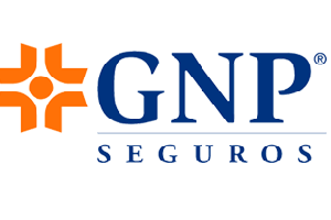 gnp